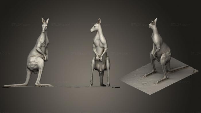 Figurines simple (Kangaroo, STKPR_0728) 3D models for cnc